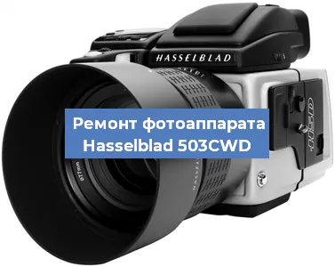 Замена затвора на фотоаппарате Hasselblad 503CWD в Волгограде